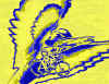 1Bikedove.jpg (111372 bytes)